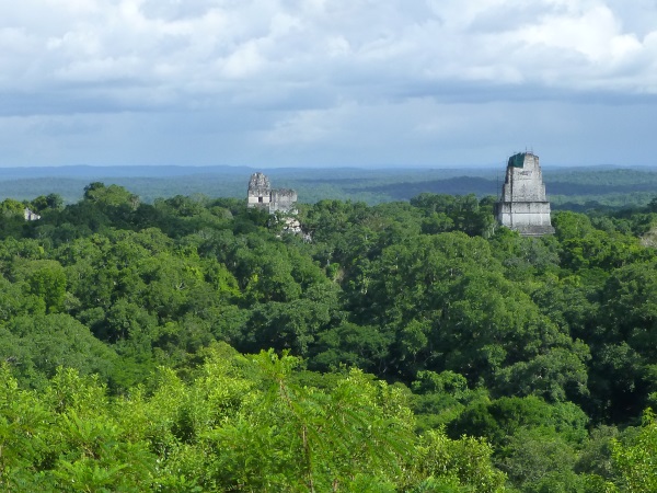 Tikal view from the jungle